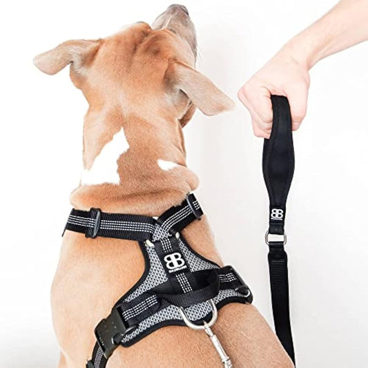 BullyBillows Active Light Dog Harness With Handle | Premium Padded Lining & Highly Reflective Harness | XLarge Pink