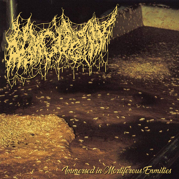 Morgue Tar album cover 'Immersed in Mortiferous Enmities' released by Rancid Offal Records, showcasing dark and intricate artwork symbolising the goregrind genre.