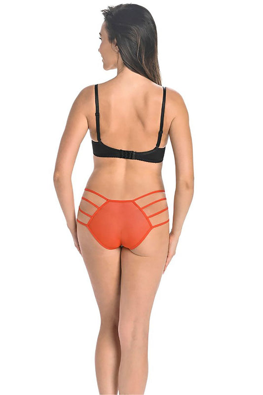 Close-up of Teyli Women's Fine Mesh Panties showcasing the fine weave and delicate design with elegant straps for a feminine touch