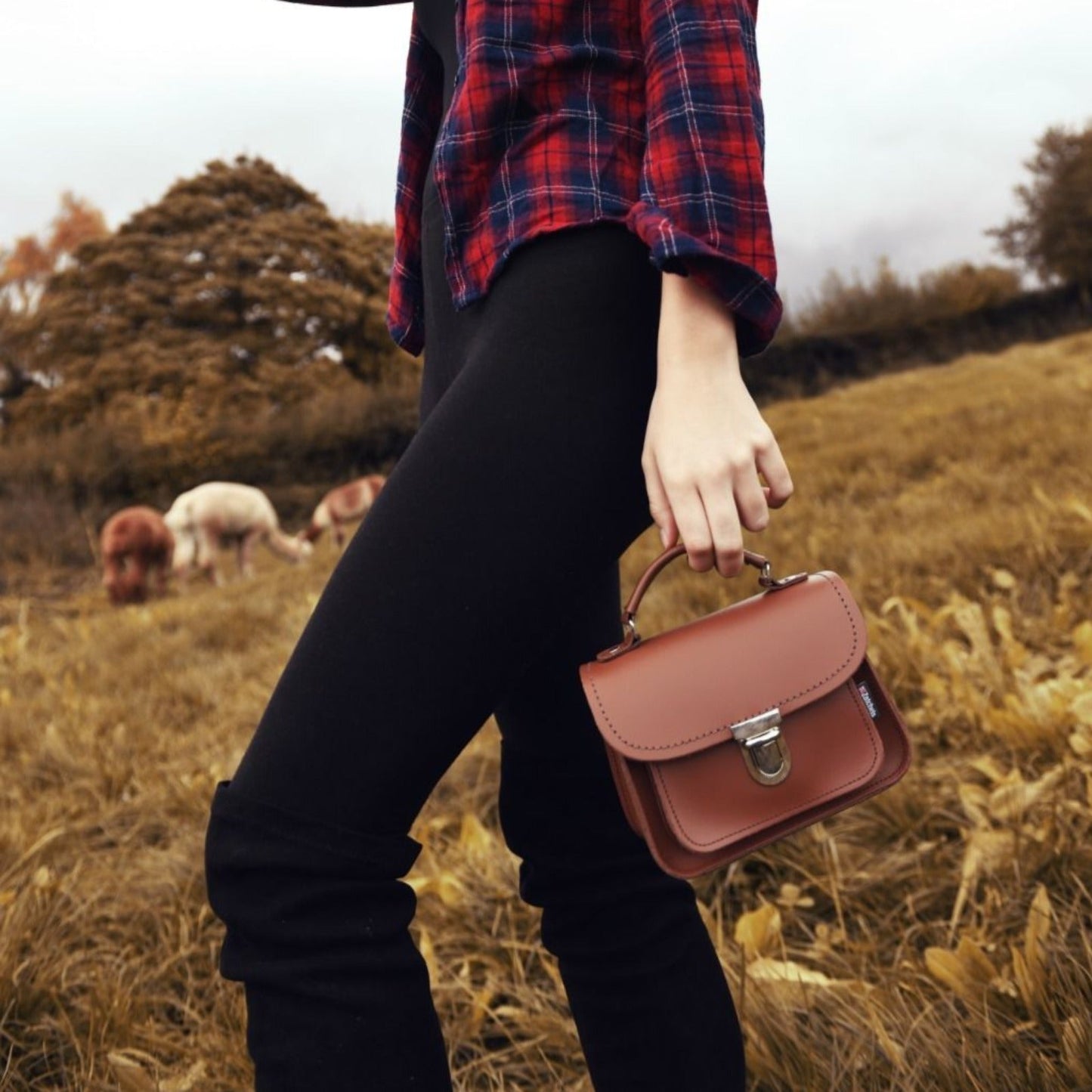 Elegant Luna Chestnut Leather Bag with a chic silhouette and secure push lock clasp, epitomising sophistication and making a fashion statement.