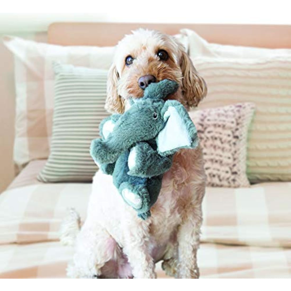 Animals & Pet Supplies