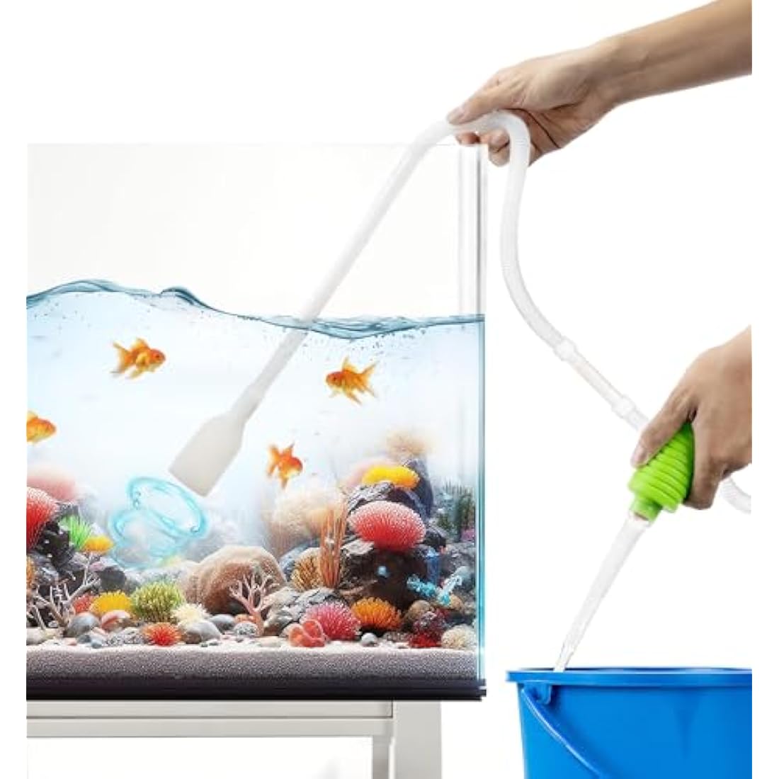 Fish & Aquatic Supplies