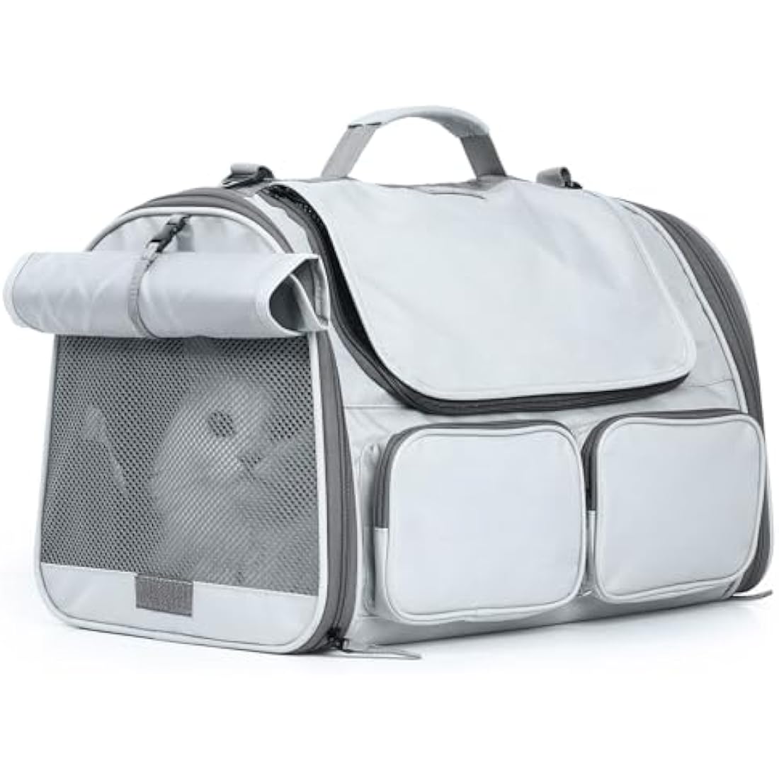 Air Travel Approved Carriers