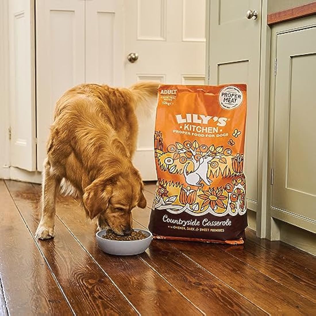 Dog Food