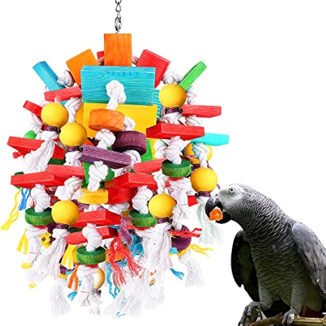 Bird Toys