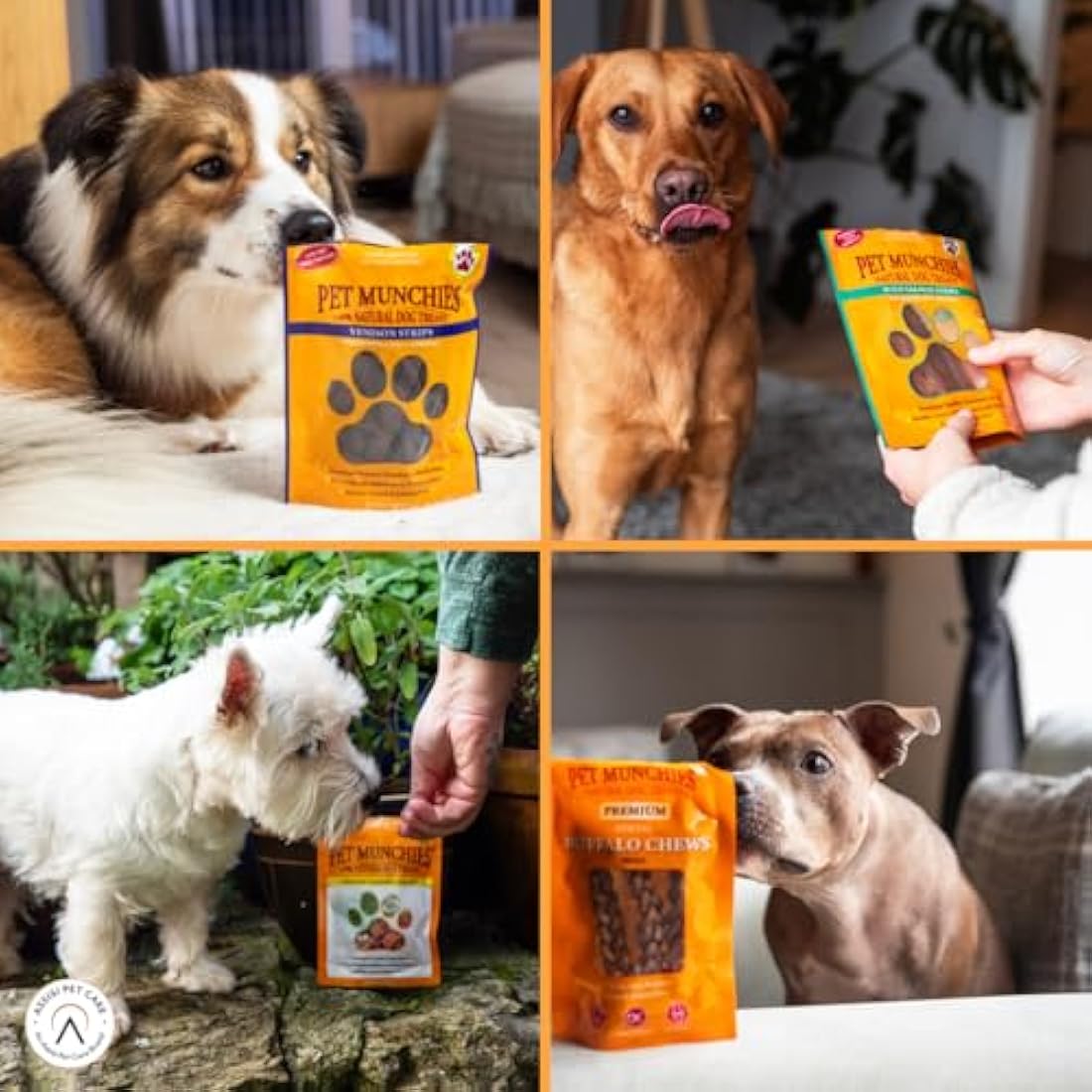 Dog Treats