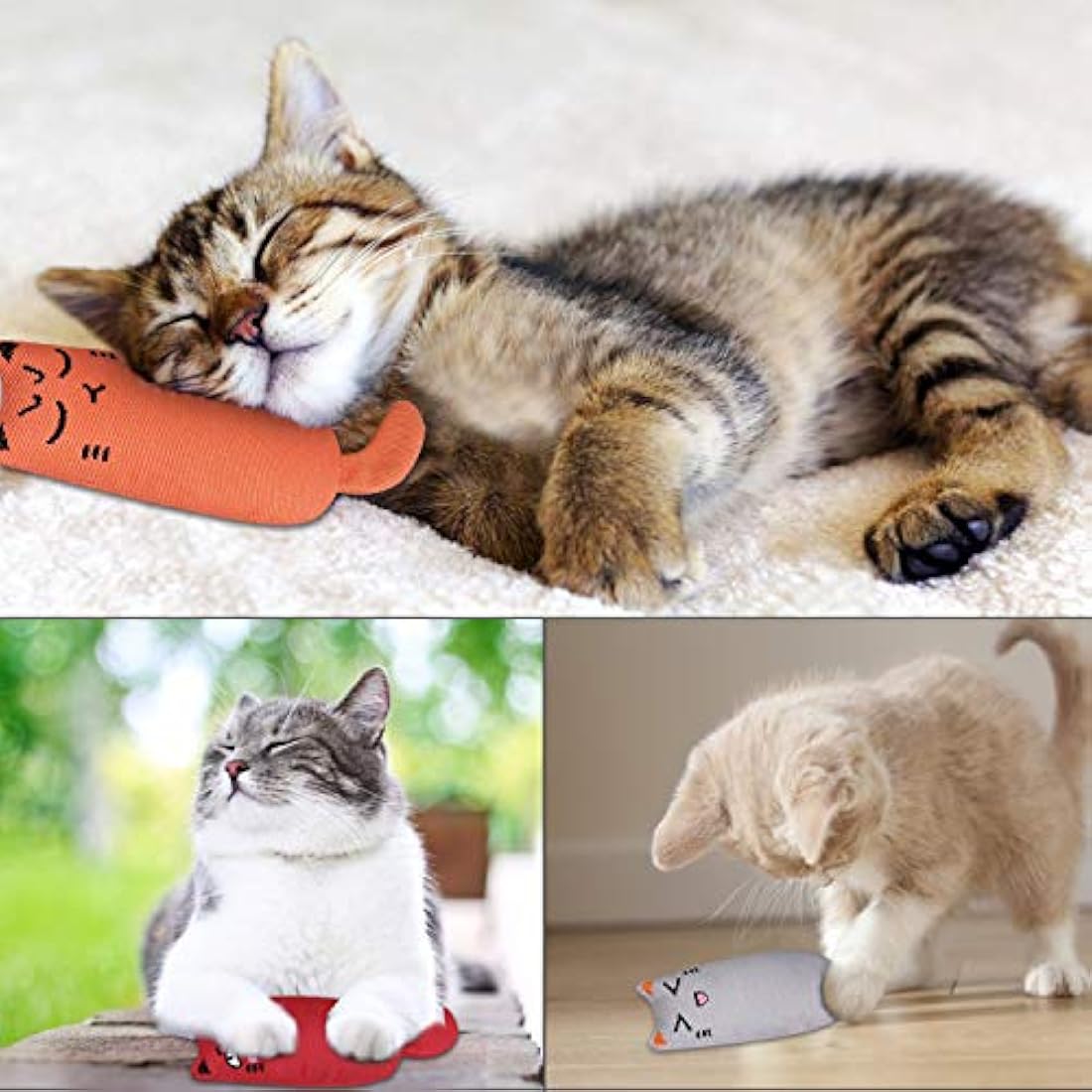 Catnip Toys