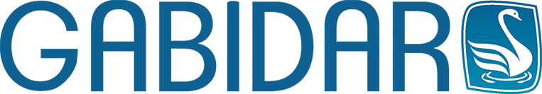 Luxurious Gabidar lace-trimmed cotton panties for women, featuring exquisite lace detail and available in sizes S to XL, perfect for elegant and comfortable wear.