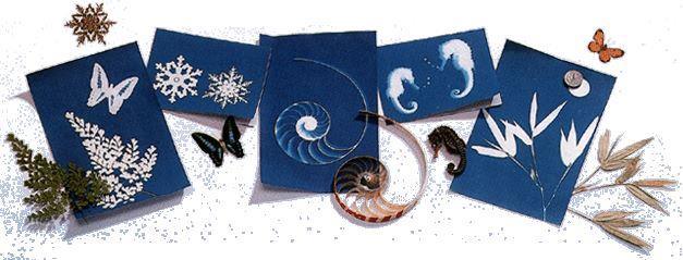Art & Craft Kits