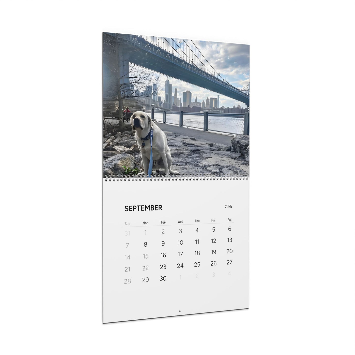 Dog´s 💩ing in Beautiful Places Wall Calendar 2025