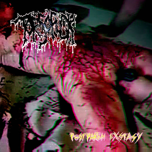 Luxurious CD cover of 'Postpartum Exstasy' by Torsofuck, officially licensed from Rancid Offal Records, showcasing the unique Goregrind genre from Germany.