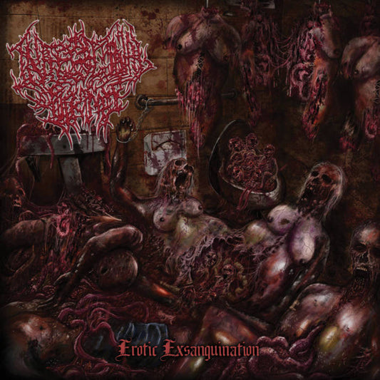 Intestinal Sodomy - Erotic Exsanguination CD by Rancid Offal Records, featuring dark, artistic cover design, representing the brutal death metal genre, released by New Standard Elite.