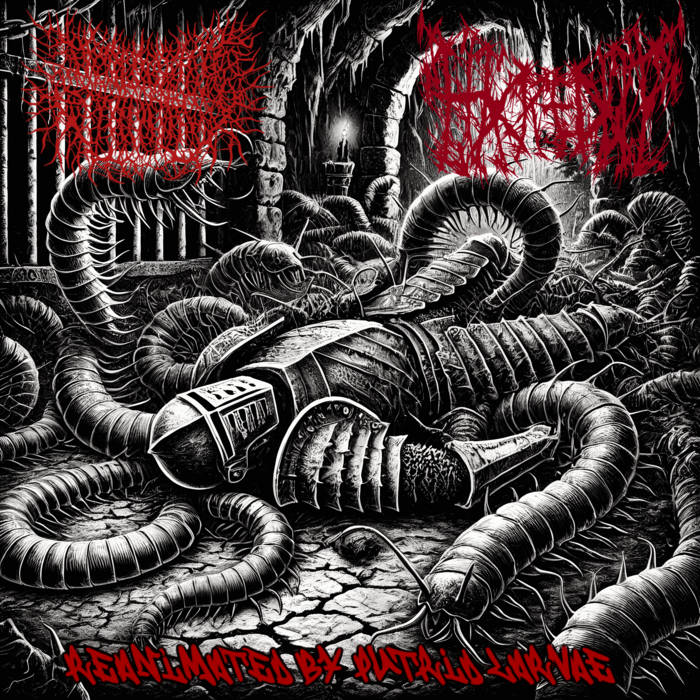 Album cover of 'Desecrated Extinction/Hacked Up - Reanimated by Putrid Larvae', an exquisite Brutal Death Metal CD by Rancid Offal Records, showcasing surreal artwork that embodies the dark and intense themes of the genre.
