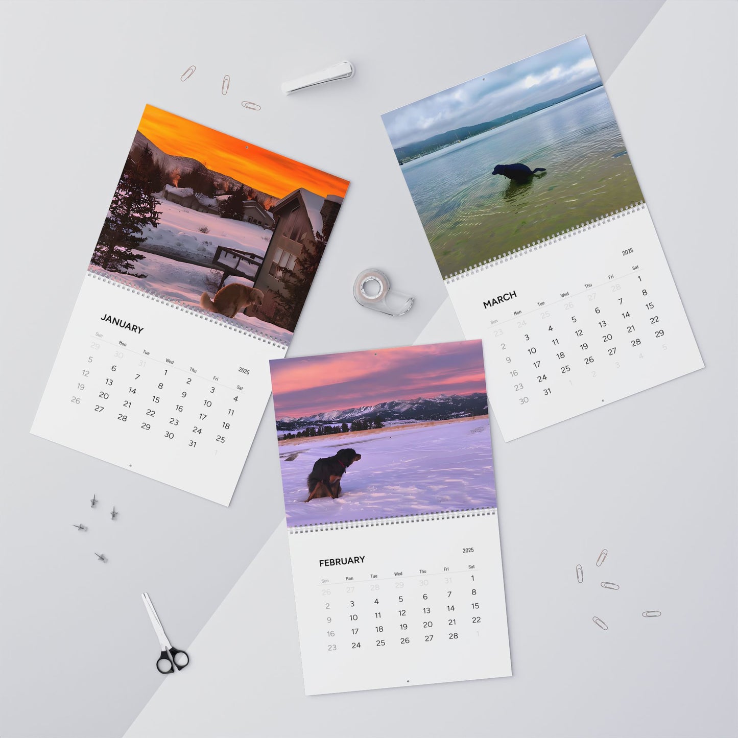 Dog´s 💩ing in Beautiful Places Wall Calendar 2025