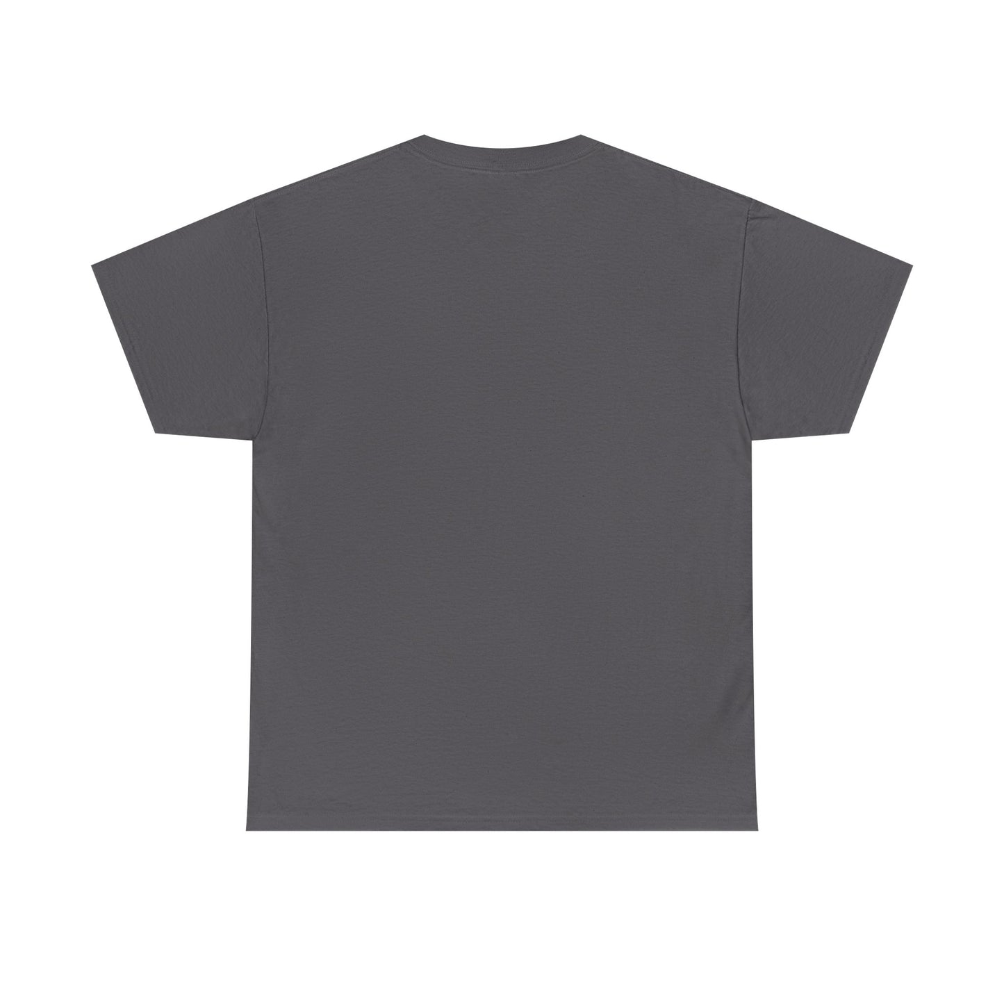Sophisticated unisex graphic tee with a smooth gray finish displayed from the back, embodying a modern aesthetic.