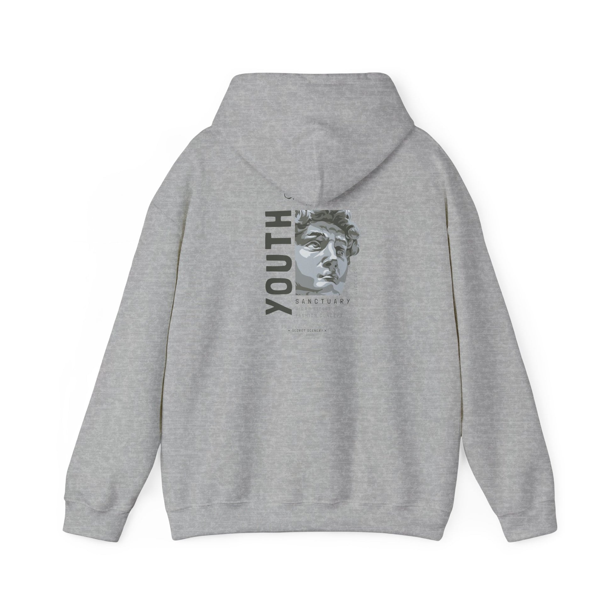 Back view of a grey Urban Sanctuary hoodie featuring a striking graphic of a sculpted bust and the word 'YOUTH' in bold lettering, blending artistry with street fashion.