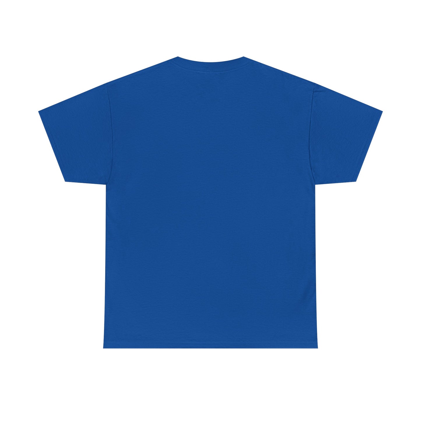 Stylish blue unisex tee shirt, back view, perfect for casual and chic occasions.