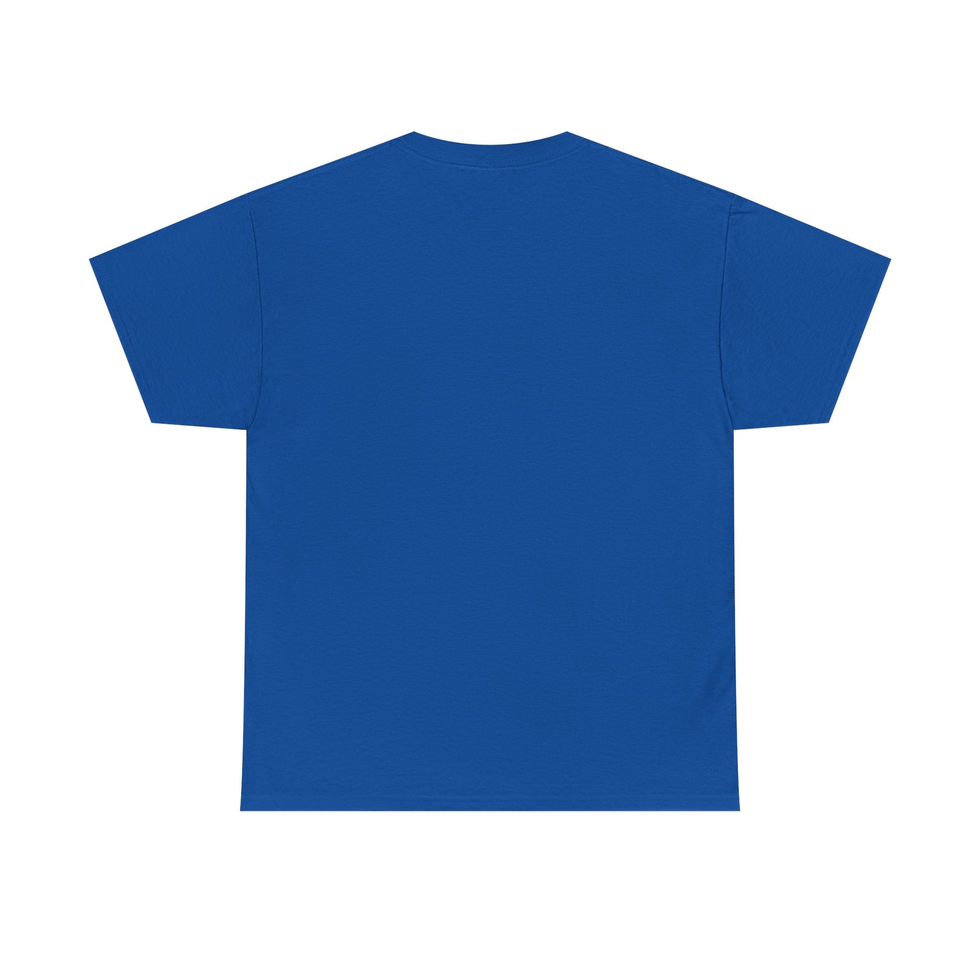 Stylish blue unisex tee shirt, back view, perfect for casual and chic occasions.