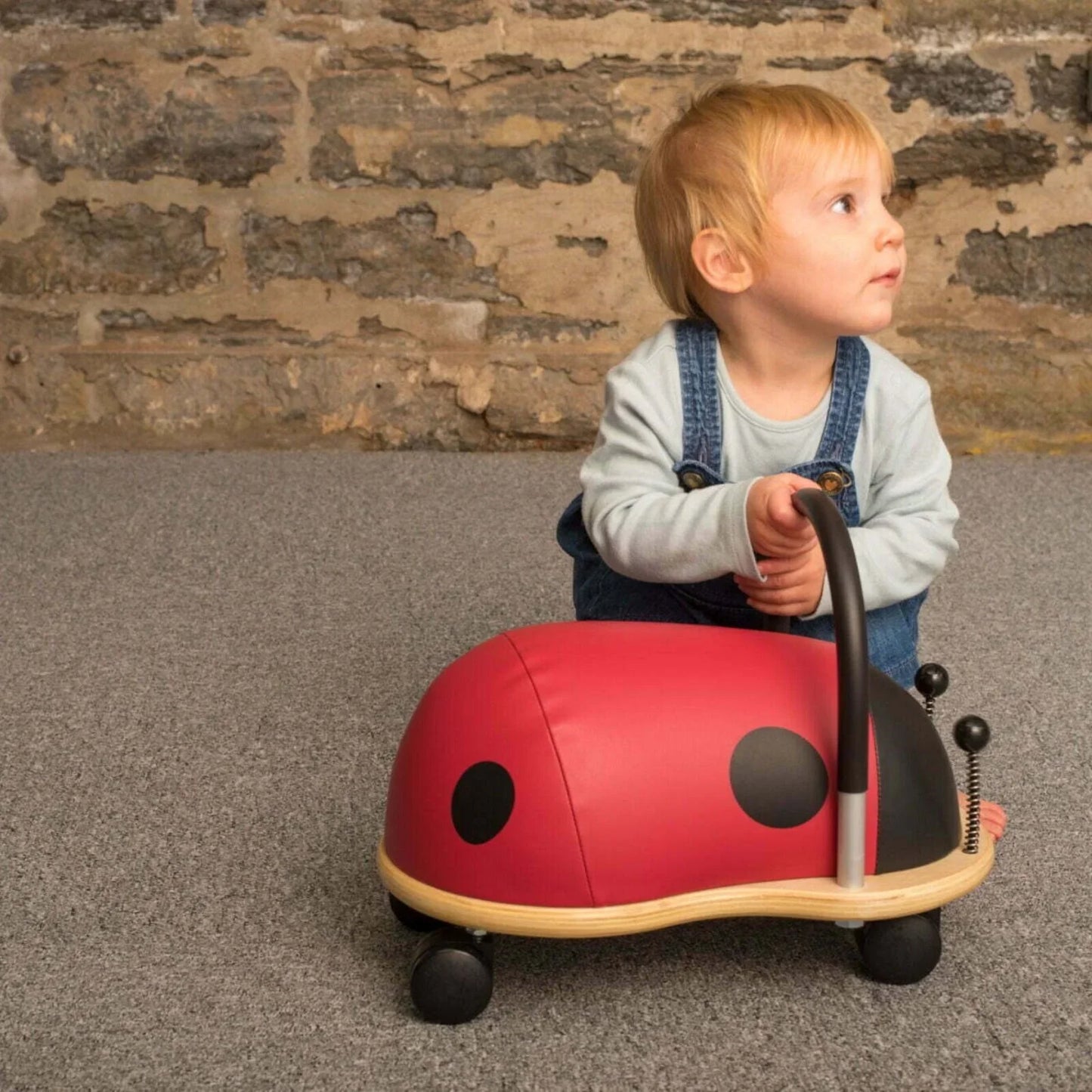 Wheely Bug Small Ride On - Ladybird