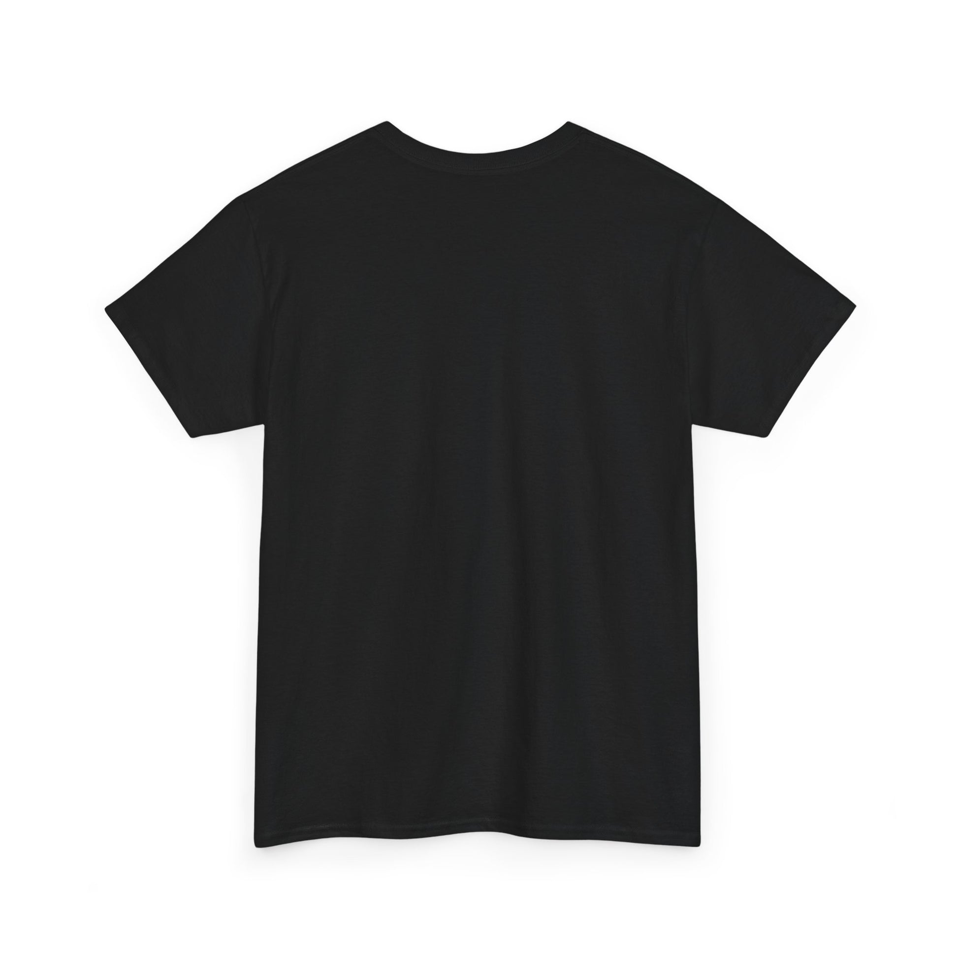 Back view of a men's T-shirt in classic black, designed for comfort and style, suitable for any casual outing.