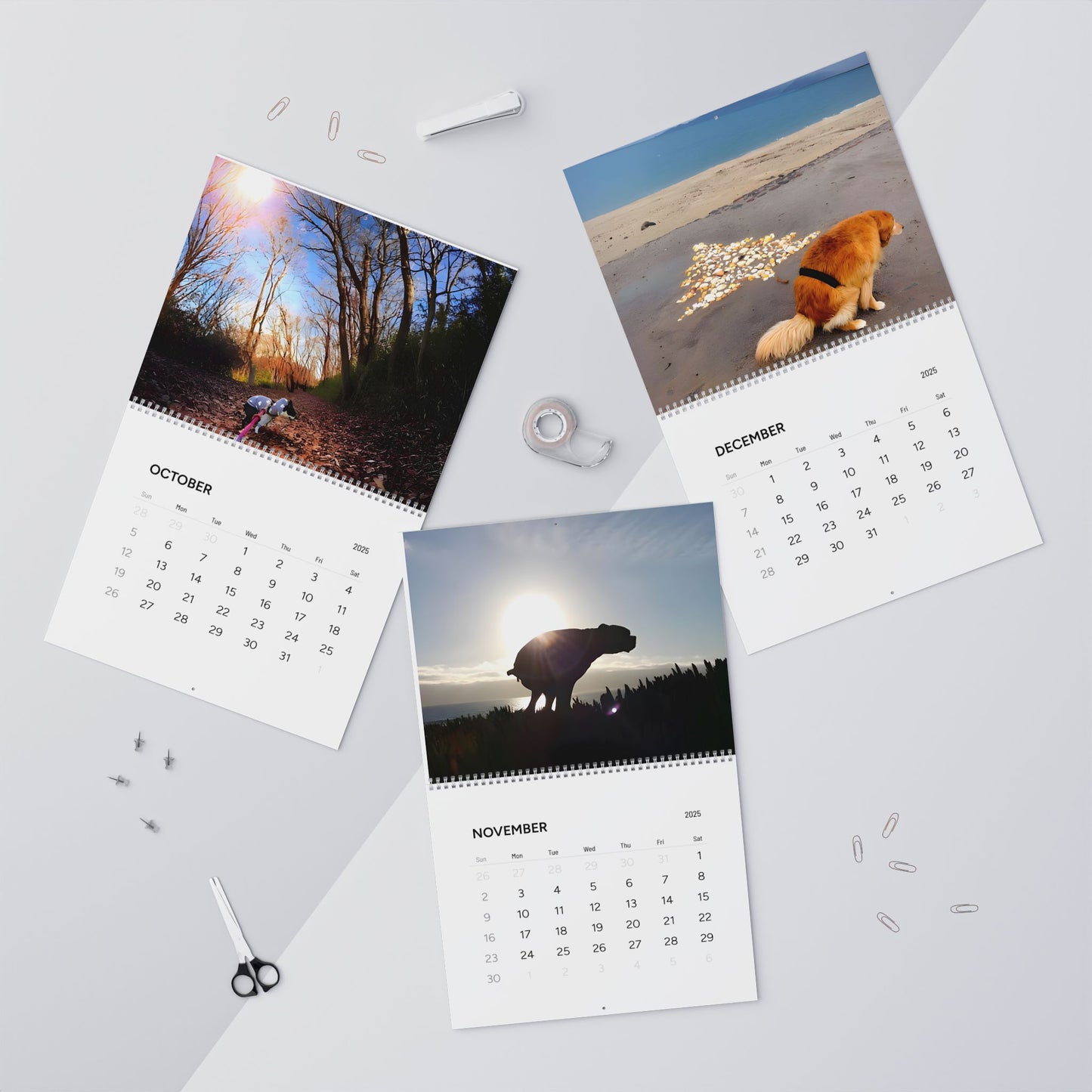 Dog´s 💩ing in Beautiful Places Wall Calendar 2025