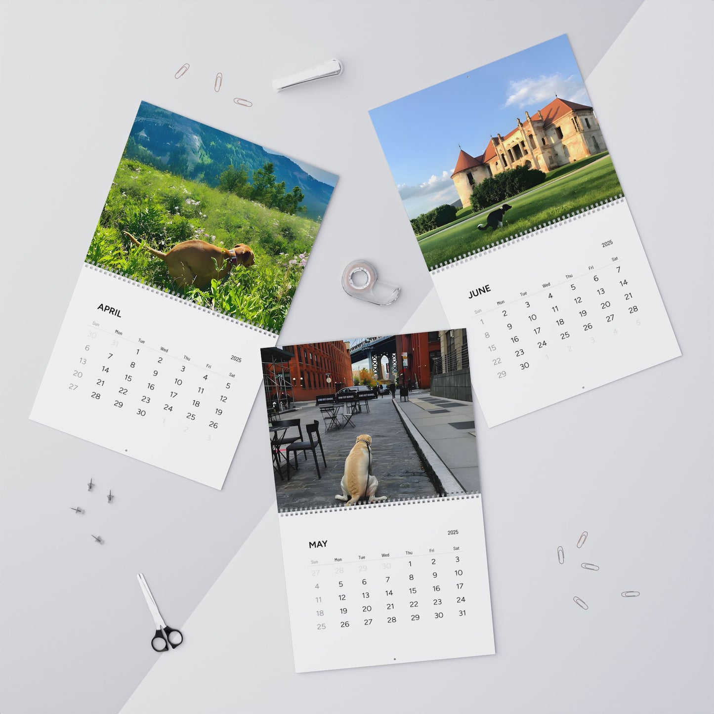 Dog´s 💩ing in Beautiful Places Wall Calendar 2025