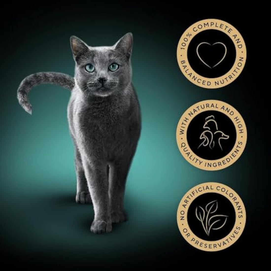 Sheba Fine Flakes in Jelly – Poultry Collection – Wet cat food pouches for adult cats – 72x85g pack