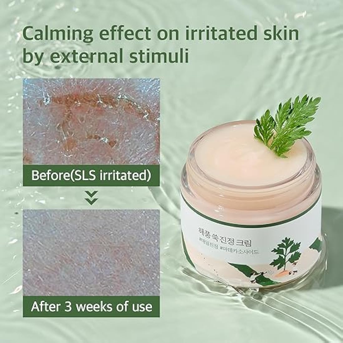 ROUND LAB Mugwort Calming Cream (80 ml)