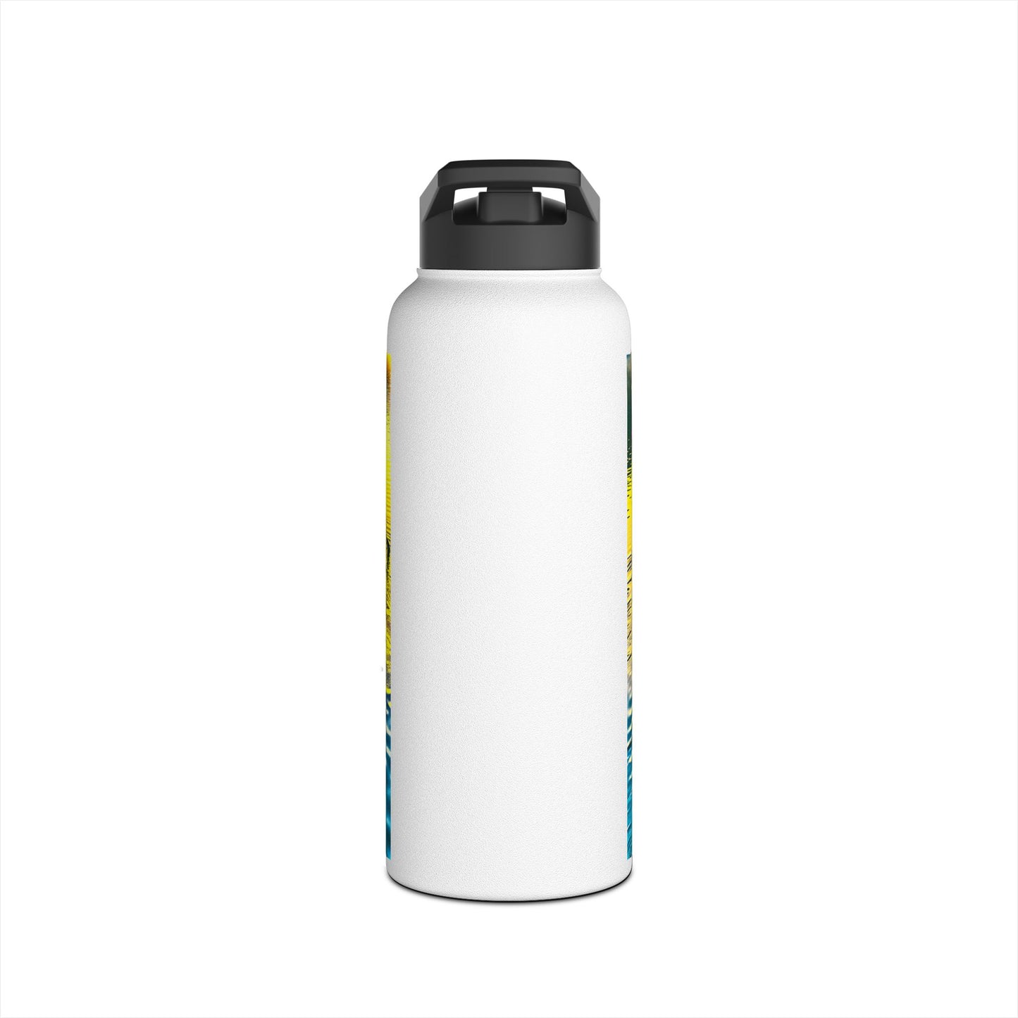 Fantasy Paddleboarding Stainless Steel Water Bottle, Standard Lid