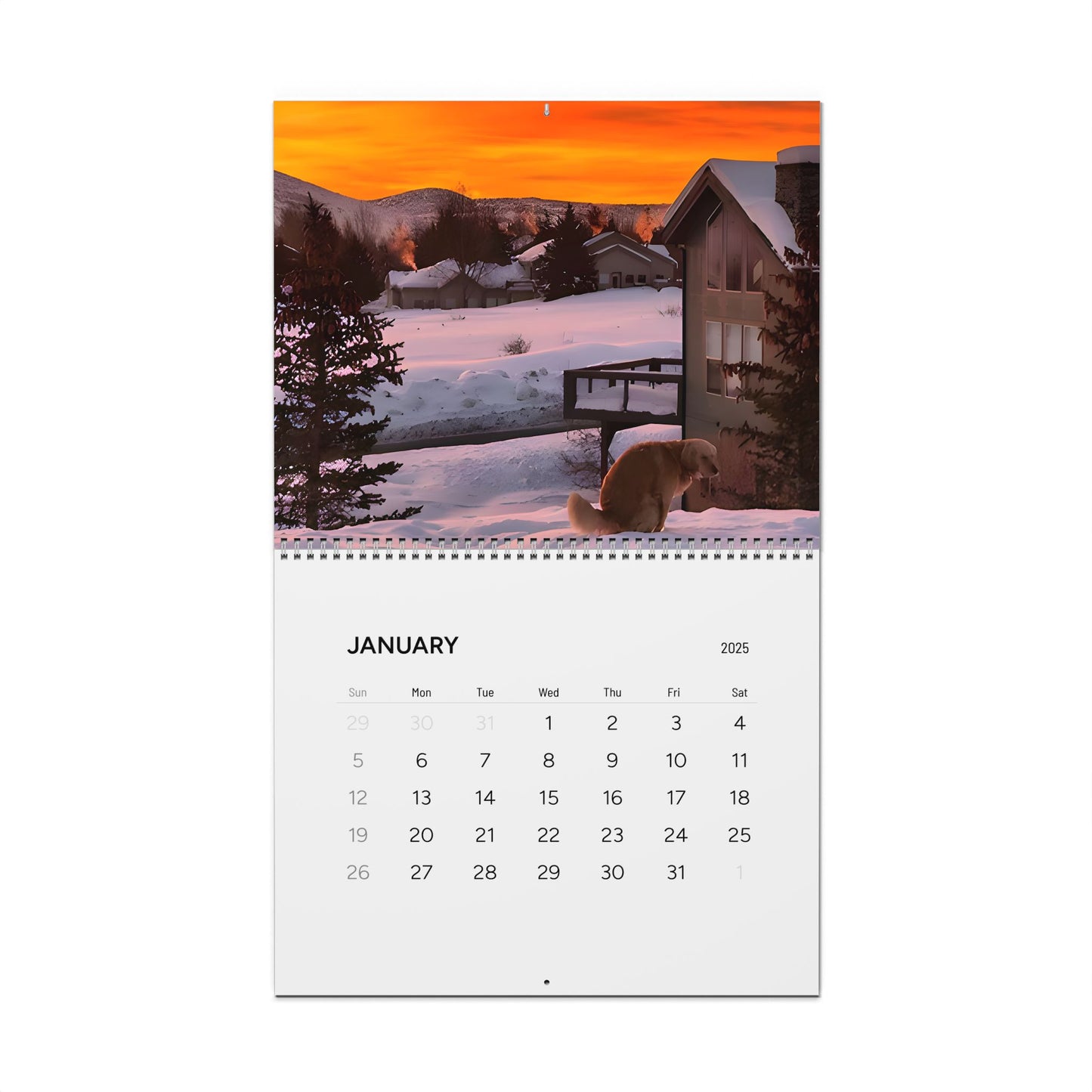 Dog´s 💩ing in Beautiful Places Wall Calendar 2025