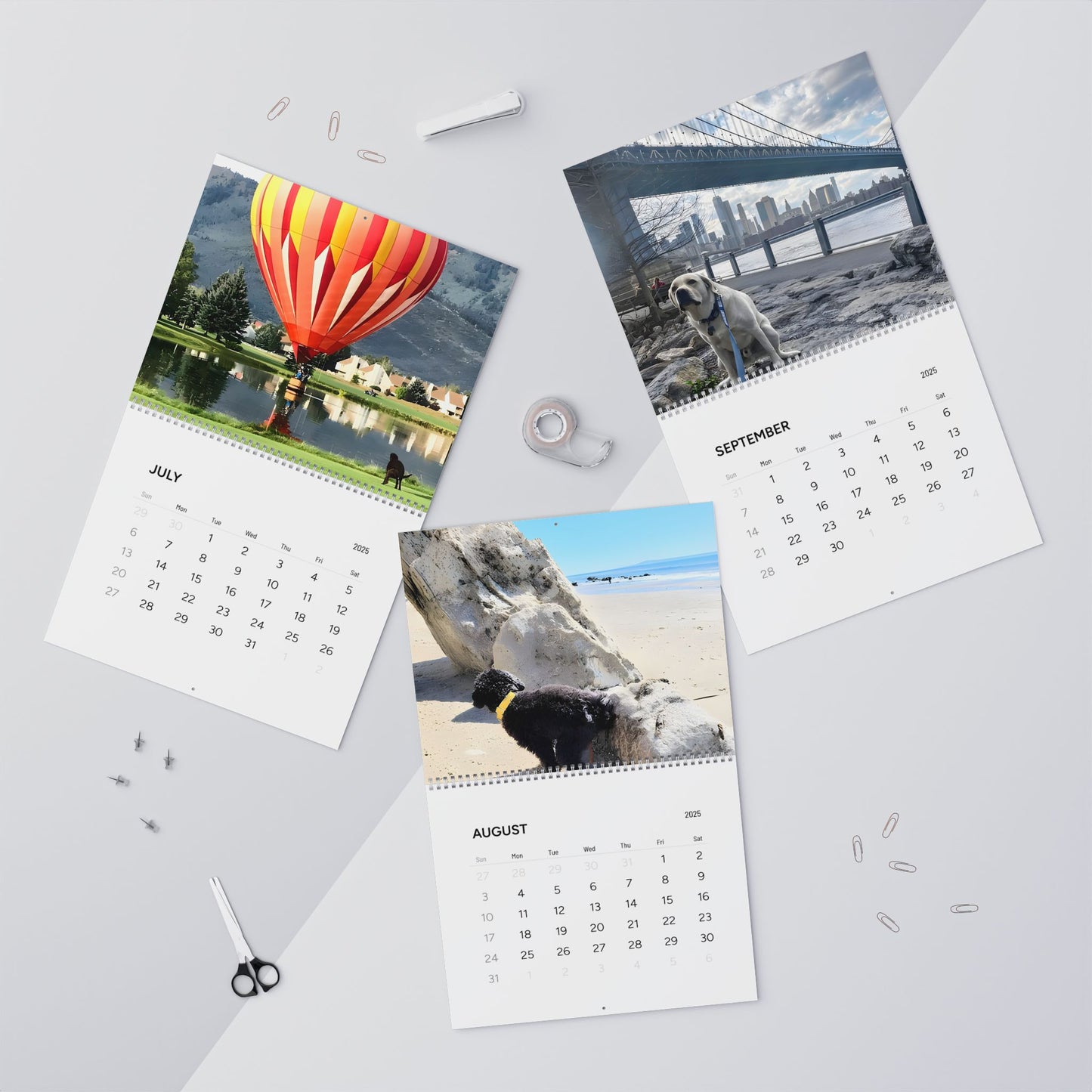 Dog´s 💩ing in Beautiful Places Wall Calendar 2025