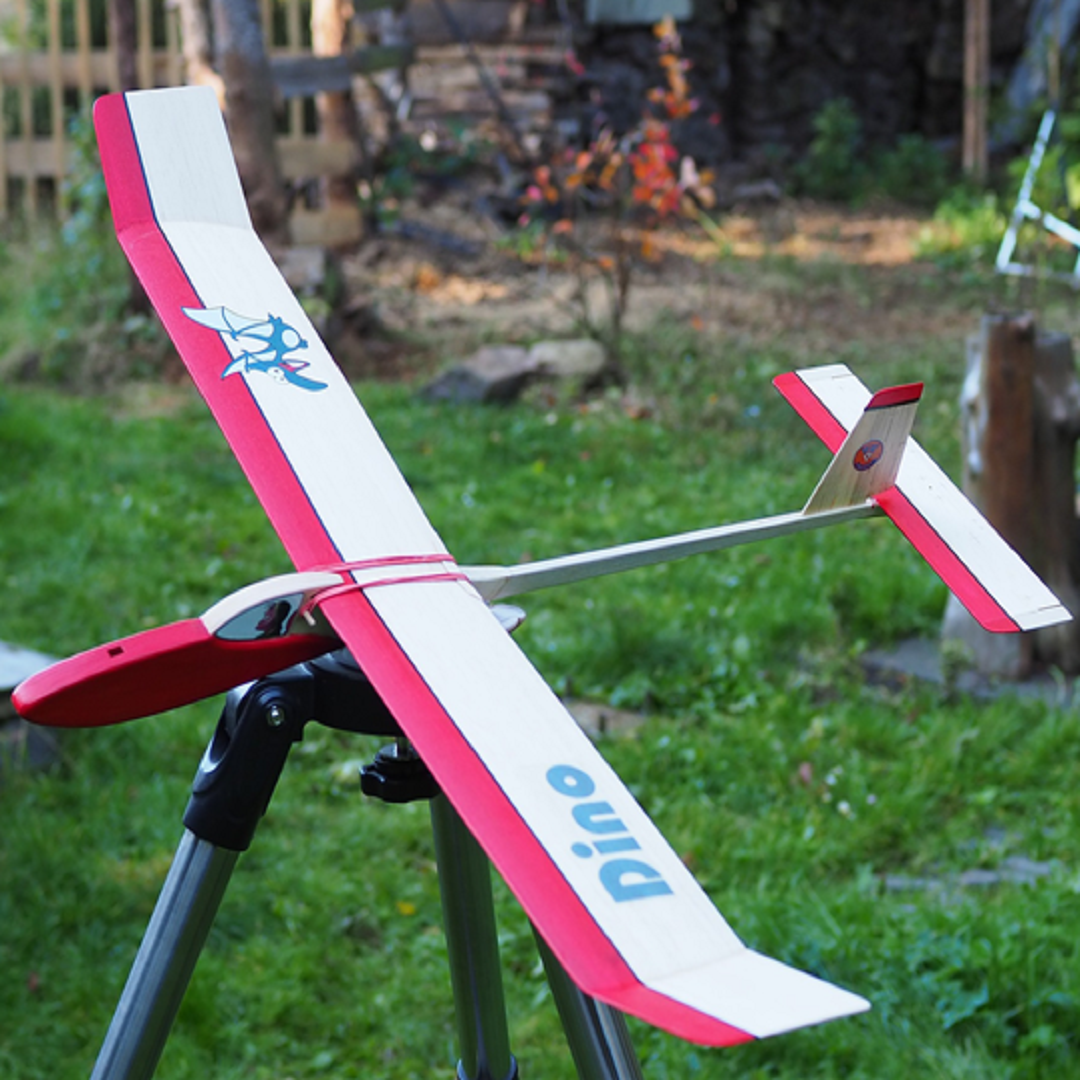 Hiesbok DINO Entry Level, Multi-Purpose Model Glider Kit