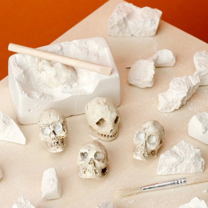 Artfully presented Gothic Skull Dig Kit with essential tools and a captivating skull, ideal for discerning collectors and enthusiasts of the macabre.
