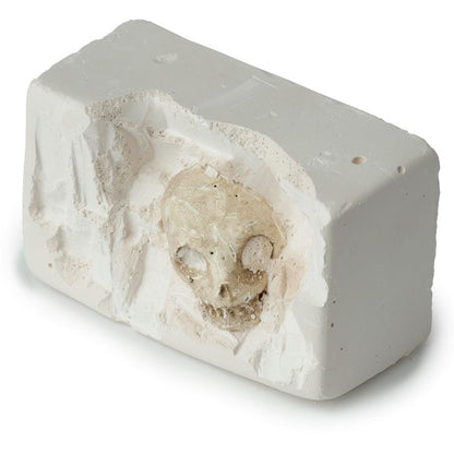Elegant presentation of the Gothic Skull Dig Kit showcasing the gypsum earth block, perfect for archaeological exploration.