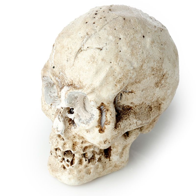 Luxurious Gothic Skull Dig Kit showcasing a rich earthen block, stylish digging tool, and deluxe dusting brush, perfect for excavating unique resin skull treasures.