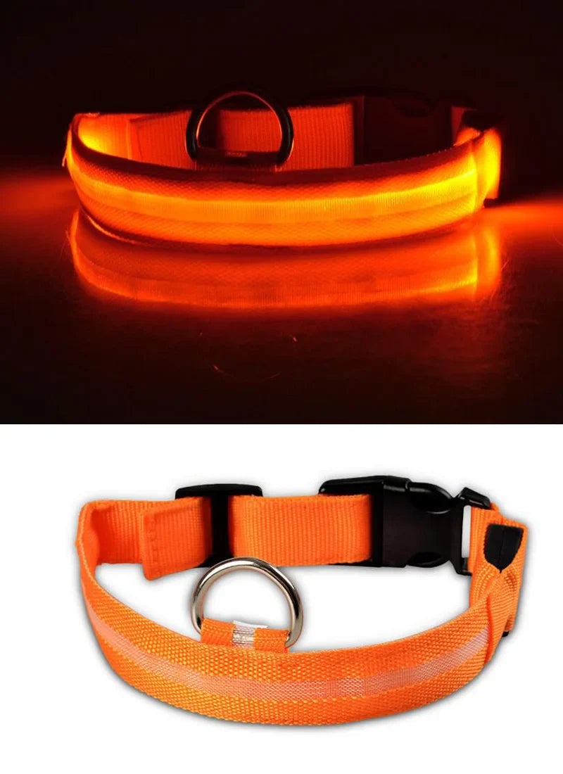 Luxurious nylon LED dog collar in luminous fluorescent design, perfect for night safety and stylish walks in the dark.