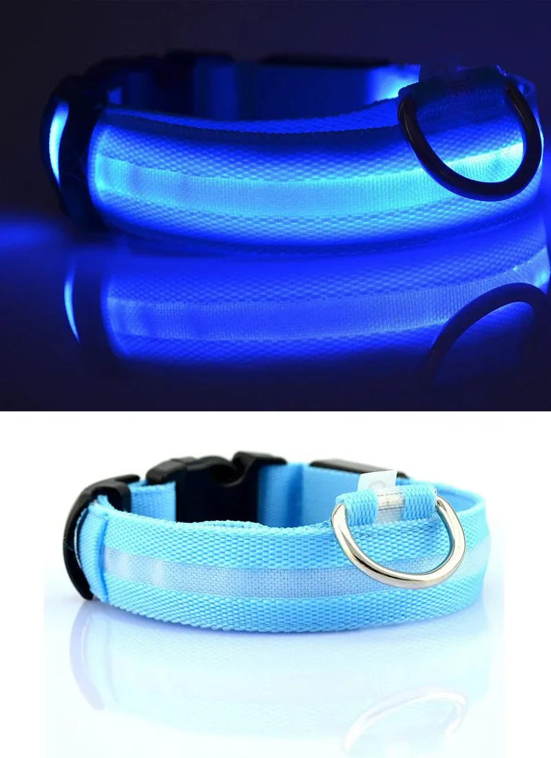 Luxury nylon LED dog collar with a glowing effect, perfect for nighttime safety, complemented by an exquisite glow-in-the-dark leash.