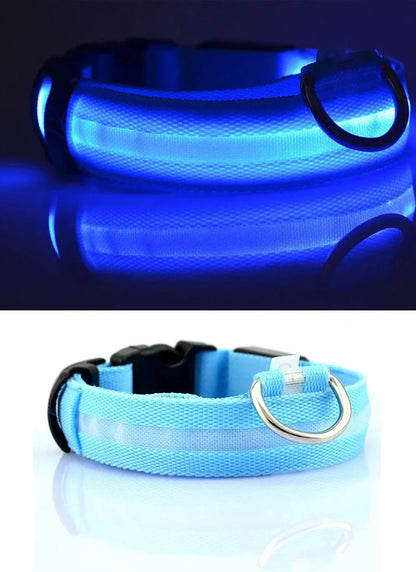 Luxury nylon LED dog collar with a glowing effect, perfect for nighttime safety, complemented by an exquisite glow-in-the-dark leash.