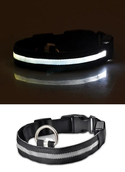 Reflective nylon leash paired with a luminous LED collar for sophisticated dog walking in low-light settings.