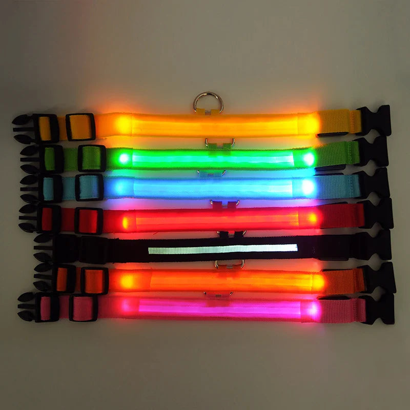 Luxury glowing nylon LED dog collar, crafted for nighttime safety and style, featuring a luminous fluorescent design.
