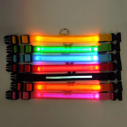 Luxury glowing nylon LED dog collar, crafted for nighttime safety and style, featuring a luminous fluorescent design.