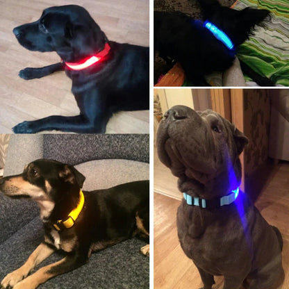 Elegant luminous fluorescent dog collar made of durable nylon material, ideal for all seasons, showcasing a refined style for fashionable pet owners.