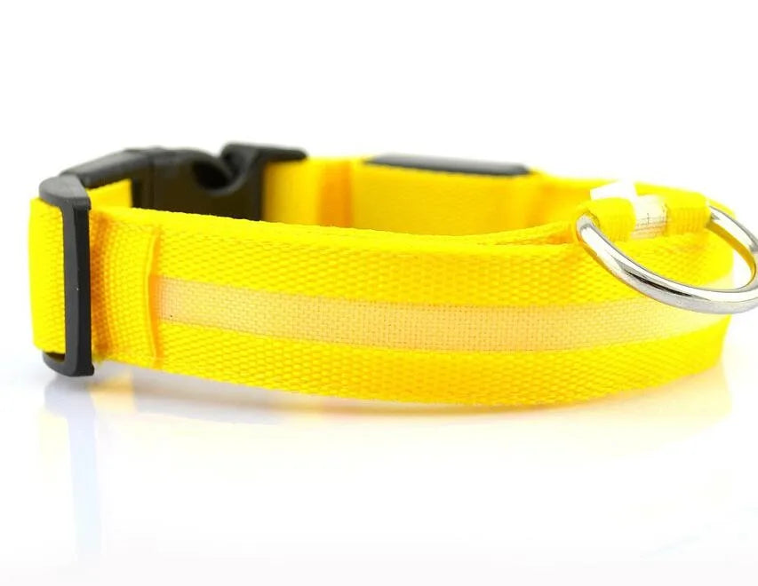 Elegant fluorescent dog collar, made from premium nylon material, providing both safety and style during nighttime walks.