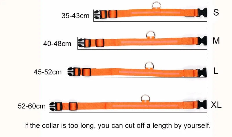 Luxury nylon LED dog collar, designed for enhanced night visibility, showcasing a luminous fluorescent glow.