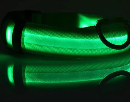 Sophisticated LED dog collar made from high-quality nylon, perfect for keeping your pet safe and stylish after dark.