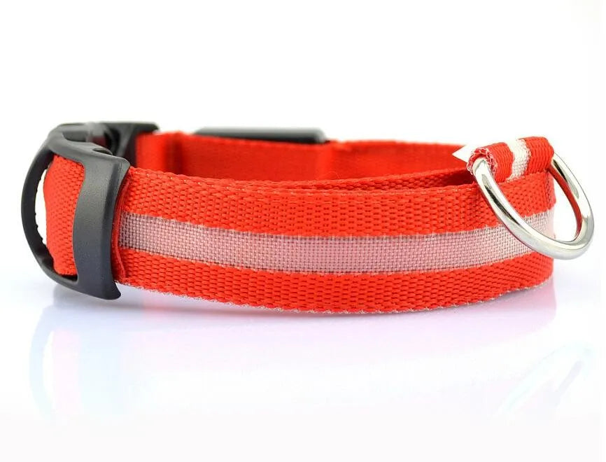 Luxury luminous nylon LED dog collar glowing in the dark for enhanced night safety, ideal for stylish pets.