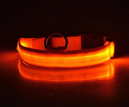 Chic fluorescent dog collar made from high-quality nylon, ensuring dogs stand out during nighttime adventures with a radiant glow.