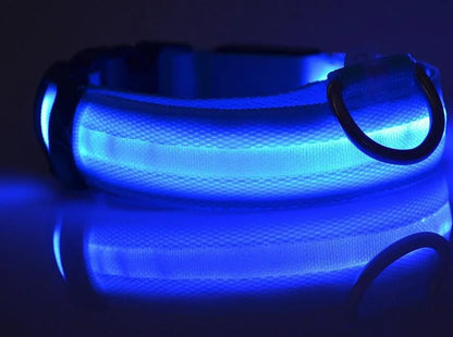 Chic glow in the dark dog leash, crafted to ensure visibility and safety for dog owners during evening outings.