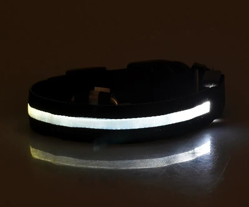 Luxurious nylon LED dog collar featuring a luminous design for enhanced visibility at night, ideal for stylish evening walks.