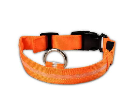 Designer dog collar showcasing a solid pattern in vibrant colours, perfect for all seasons and elevating your pet's style.